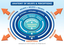 Load image into Gallery viewer, Special: You Are the Placebo Starter Package