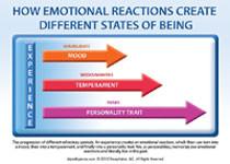 Load image into Gallery viewer, Banner Picture Cards~Breaking the Habit of Being Yourself