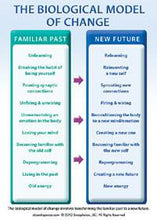 Load image into Gallery viewer, Banner Picture Cards~Breaking the Habit of Being Yourself