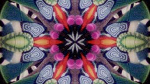 Kaleidoscope DVD