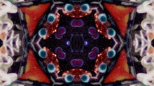 Load image into Gallery viewer, Kaleidoscope DVD
