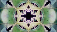 Load image into Gallery viewer, Kaleidoscope DVD
