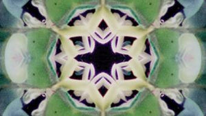 Kaleidoscope DVD
