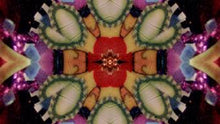 Load image into Gallery viewer, Kaleidoscope DVD

