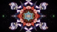 Load image into Gallery viewer, Kaleidoscope DVD

