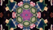Load image into Gallery viewer, Kaleidoscope DVD
