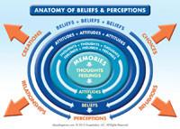 Banner Picture Cards~You Are the Placebo